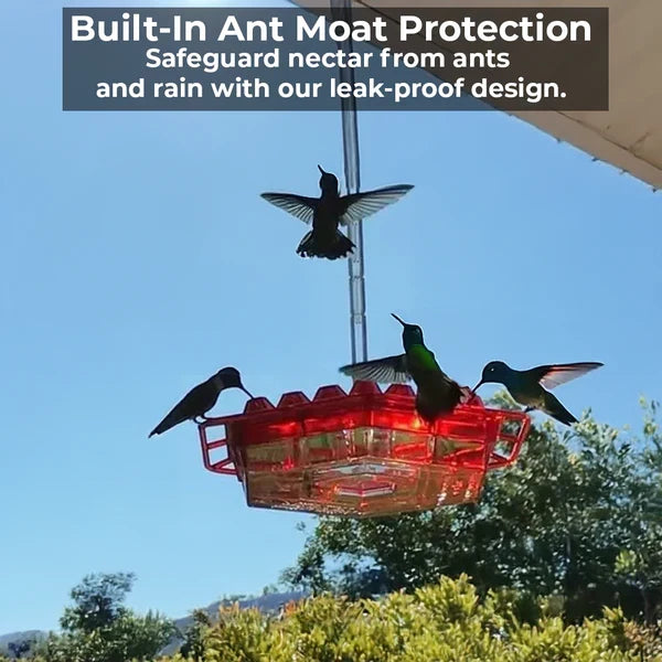 Distributore di Nettare Antifuga per Colibrì in Plastica con 30 Porte per Uso Esterno Resistente alle Api-VISOTKI