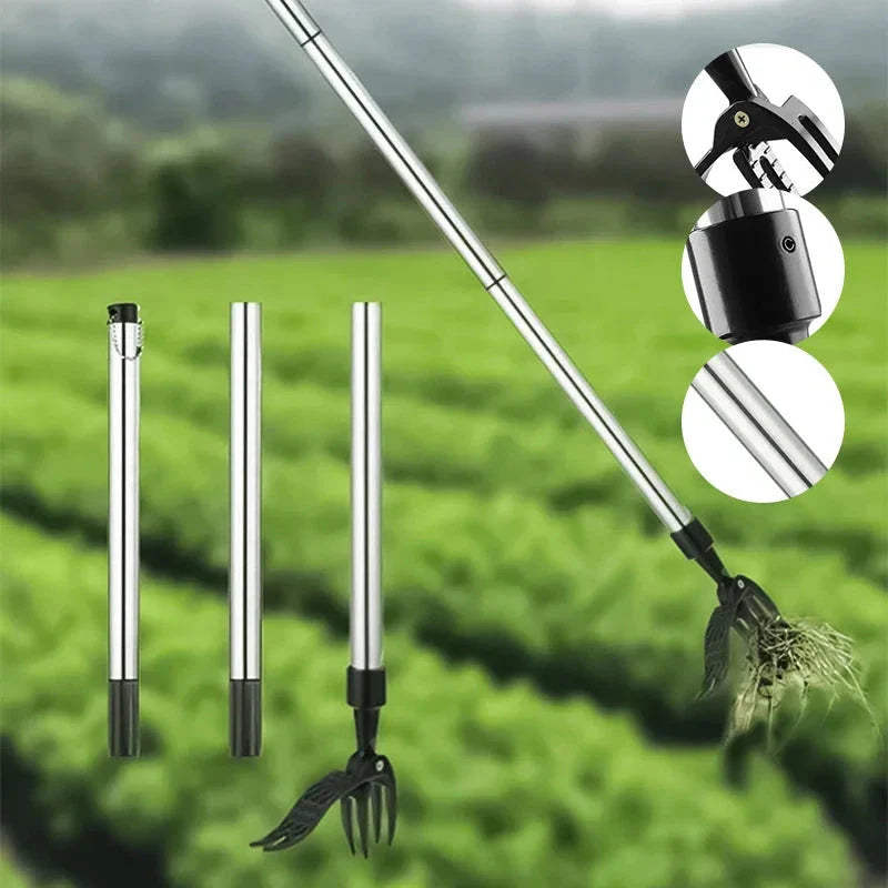 Estirpatore per Erbacce in Acciaio Inossidabile con Manico Regolabile e Rimovibile per Giardinaggio e Cura del Giardino-VISOTKI