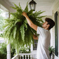Felce di Boston Artificiale UV Resistente per Esterni - Decorazione Giardino Realistica e Duratura-VISOTKI