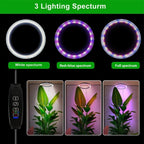 Lampada LED per Crescita Piante da Interno - Design Moderno - Illuminazione per Giardinaggio Domestico - Regolabile e Efficiente-VISOTKI