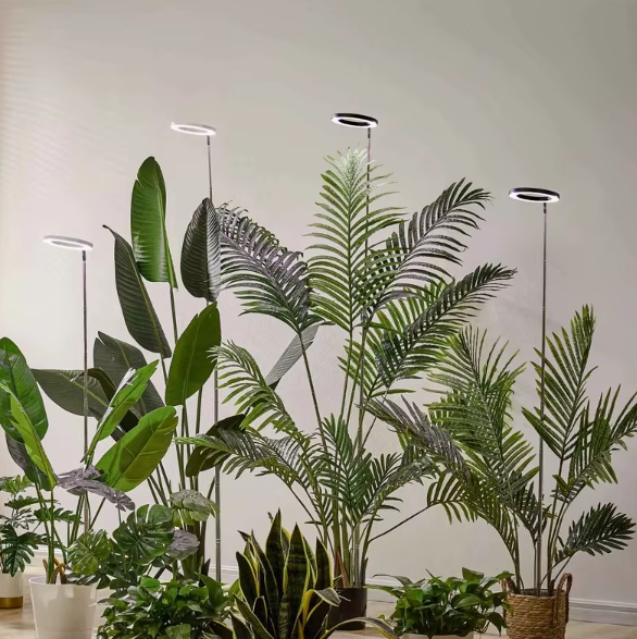 Luce di Crescita LED per Piante Indoor - Illuminazione Regolabile per Coltivazione Domestica-VISOTKI