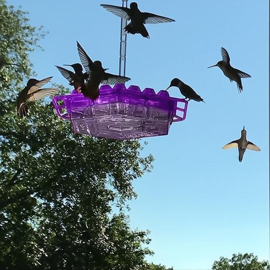 Mangiatoia per Colibrì Antiformiche da Appendere in Giardino - Design Resistente per Uso Esterno-VISOTKI