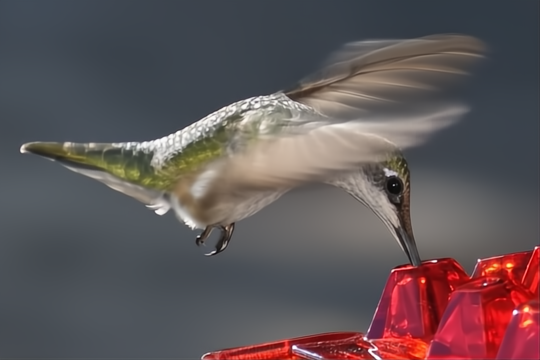 Mangiatoia per Colibrì Antiformiche da Appendere in Giardino - Design Resistente per Uso Esterno-VISOTKI