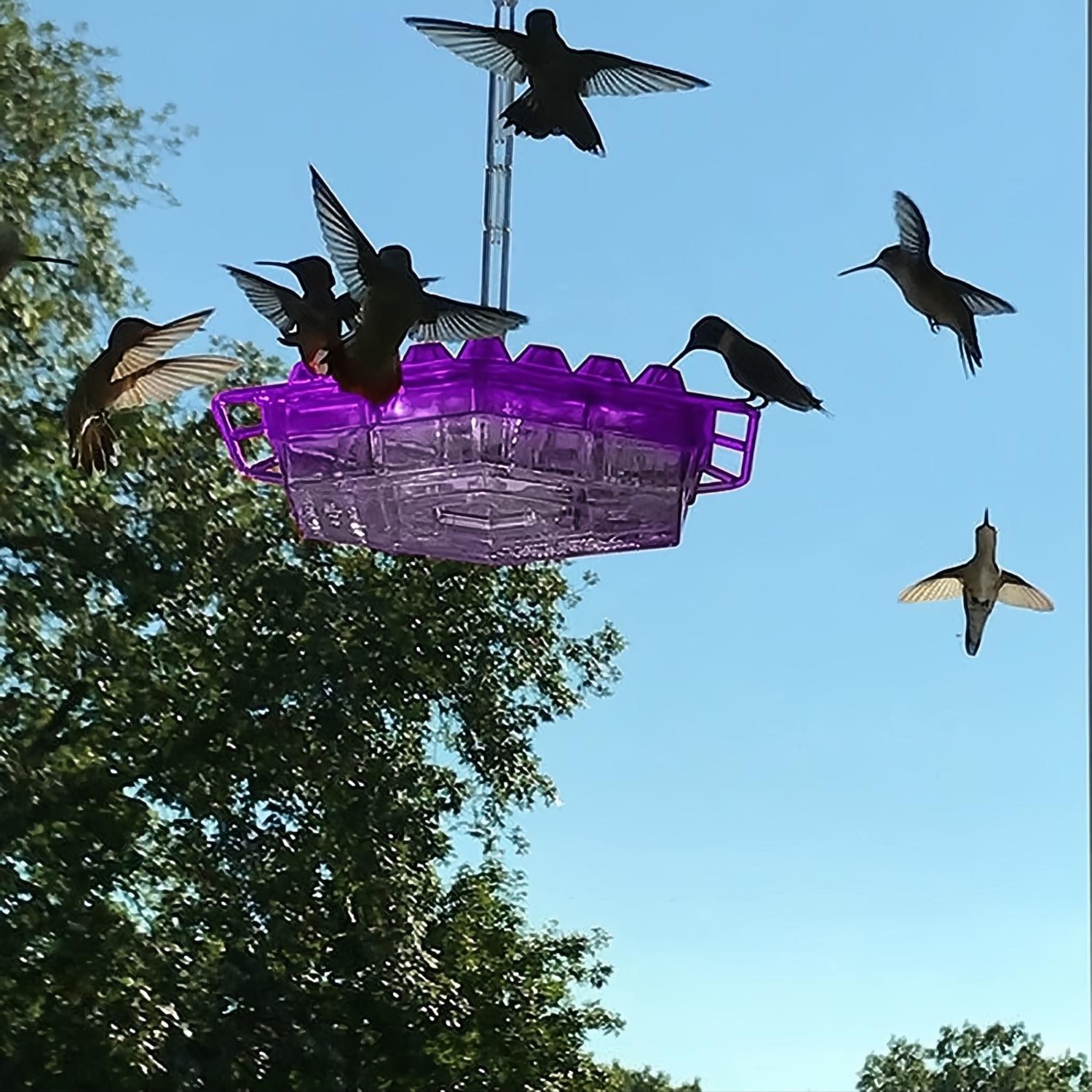 Mangiatoia per Colibrì Antiformiche da Appendere in Giardino - Design Resistente per Uso Esterno-VISOTKI