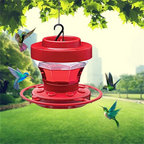 Mangiatoie per Colibrì a Prova di Api con Perch in Plastica Resistente per Esterni - Accessorio per Giardino e Balcone-VISOTKI