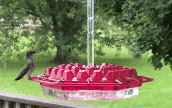 Mangiatore per Colibrì Antiformiche da Appendere in Metallo per Esterni - Accessorio Giardino Decorativo-VISOTKI
