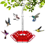 Mangiatore per Colibrì Antiformiche da Appendere in Metallo per Esterni - Accessorio Giardino Decorativo-VISOTKI