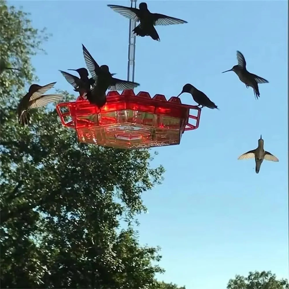 Mangiatore per Colibrì Antiformiche da Appendere in Metallo per Esterni - Accessorio Giardino Decorativo-VISOTKI