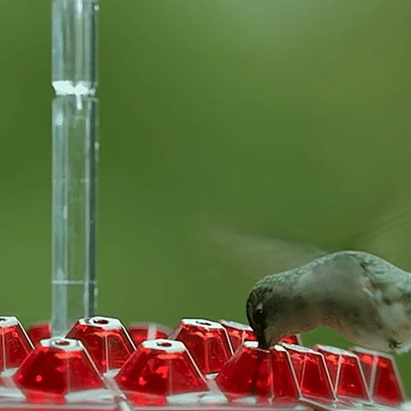 Mangiatore per Colibrì con Moat Antincendio Integrato in Plastica - Accessorio per Giardino e Balcone-VISOTKI
