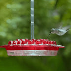Mangiatore per Colibrì in Plastica con Bacino Antinsetto Integrato per Giardino e Balcone-VISOTKI
