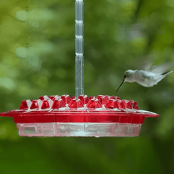 Mangiatore per Colibrì in Plastica con Bacino Antinsetto Integrato per Giardino e Balcone-VISOTKI