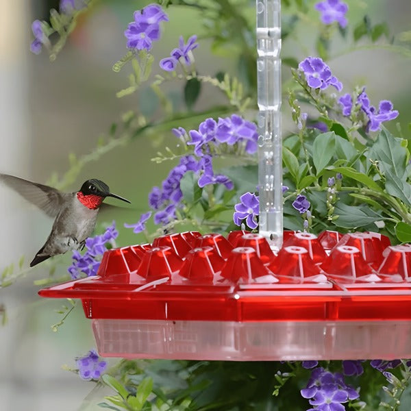 Mangiatore per Colibrì in Plastica con Bacino Antinsetto Integrato per Giardino e Balcone-VISOTKI