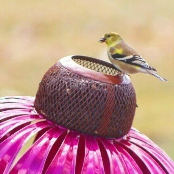 Mangiatore per Uccelli Echinacea in Legno Naturale - Design Decorativo per Giardino e Balcone - Accessorio per Uccelli-VISOTKI