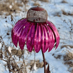 Mangiatore per Uccelli in Echinacea - Design Naturale per Alimentazione Avifauna - Accessorio per Giardino e Balcone-VISOTKI