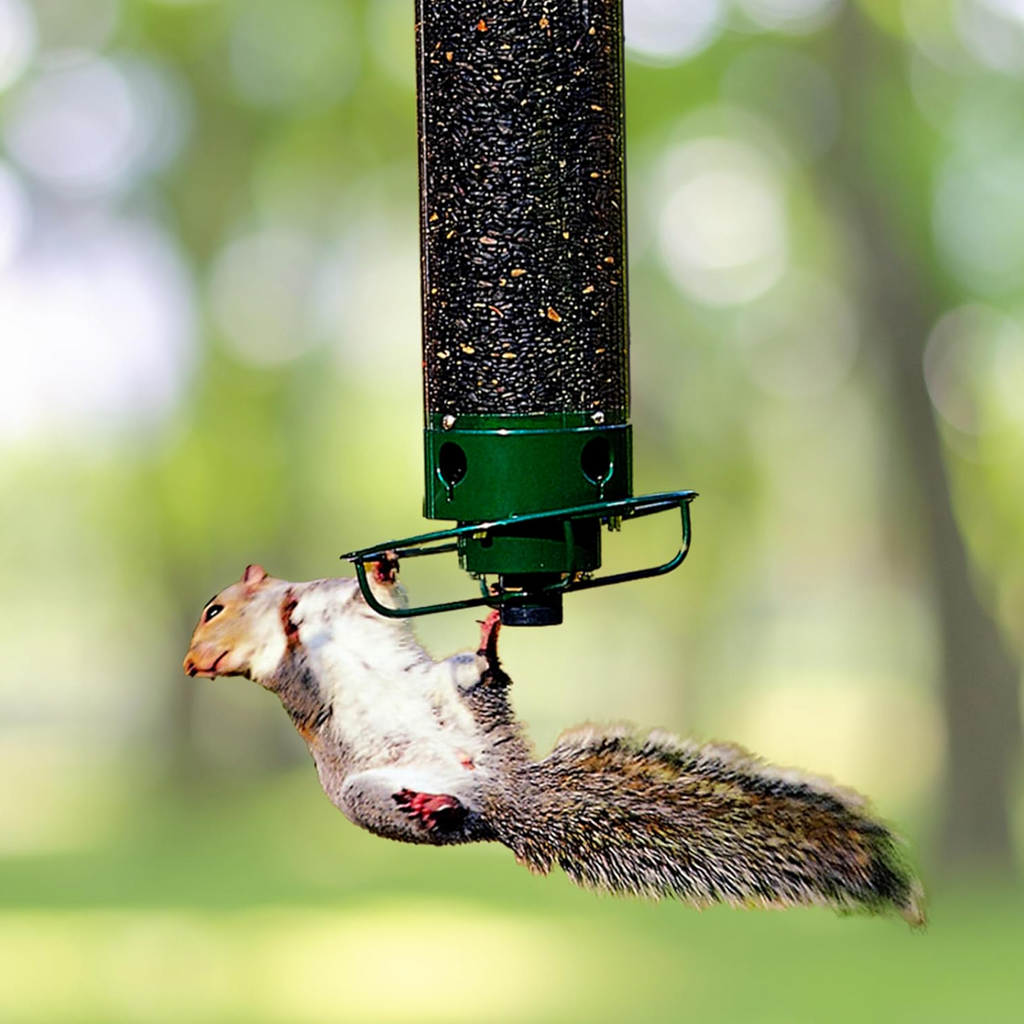 Mangiatore per Uccelli in Metallo a Prova di Scoiattolo, Design Elegante per Giardino, Accessorio per Alimentazione Uccelli-VISOTKI