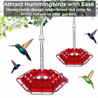 Nutriente per Colibrì con 30 Porte Resistenti alle Api e Antiformiche - Soluzione Pratica per Alimentazione Avifauna-VISOTKI