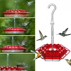 Nutriente per Colibrì con 30 Porte Resistenti alle Api e Antiformiche - Soluzione Pratica per Alimentazione Avifauna-VISOTKI