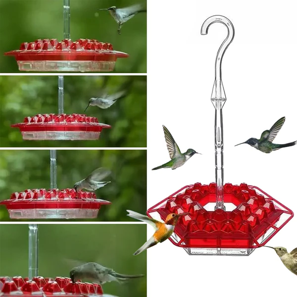 Nutriente per Colibrì con 30 Porte Resistenti alle Api e Antiformiche - Soluzione Pratica per Alimentazione Avifauna-VISOTKI