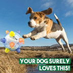 Palla per Salti per Cani in Gomma Resistente - Gioco Interattivo per Allenamento e Divertimento-VISOTKI