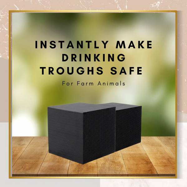Purificatore d'Acqua Bio Cube per Allevamenti e Acquari - Sistema di Filtrazione per Cavalli e Animali Domestici-VISOTKI