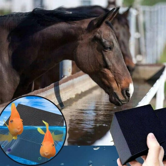 Purificatore d'Acqua Bio Cube per Allevamenti e Acquari - Sistema di Filtrazione per Cavalli e Animali Domestici-VISOTKI