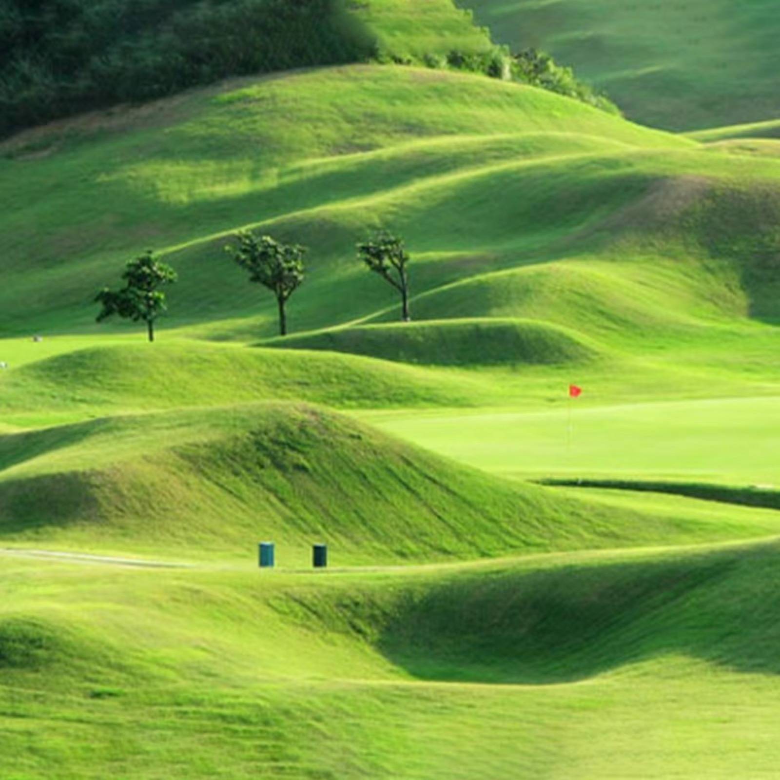 Tappeto di Semi di Erba Verde - Materiale Naturale - Design Pratico - Ideale per Giardini e Spazi Esterni-VISOTKI