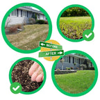 Tappeto di Semi di Erba Verde - Materiale Naturale - Design Pratico - Ideale per Giardini e Spazi Esterni-VISOTKI