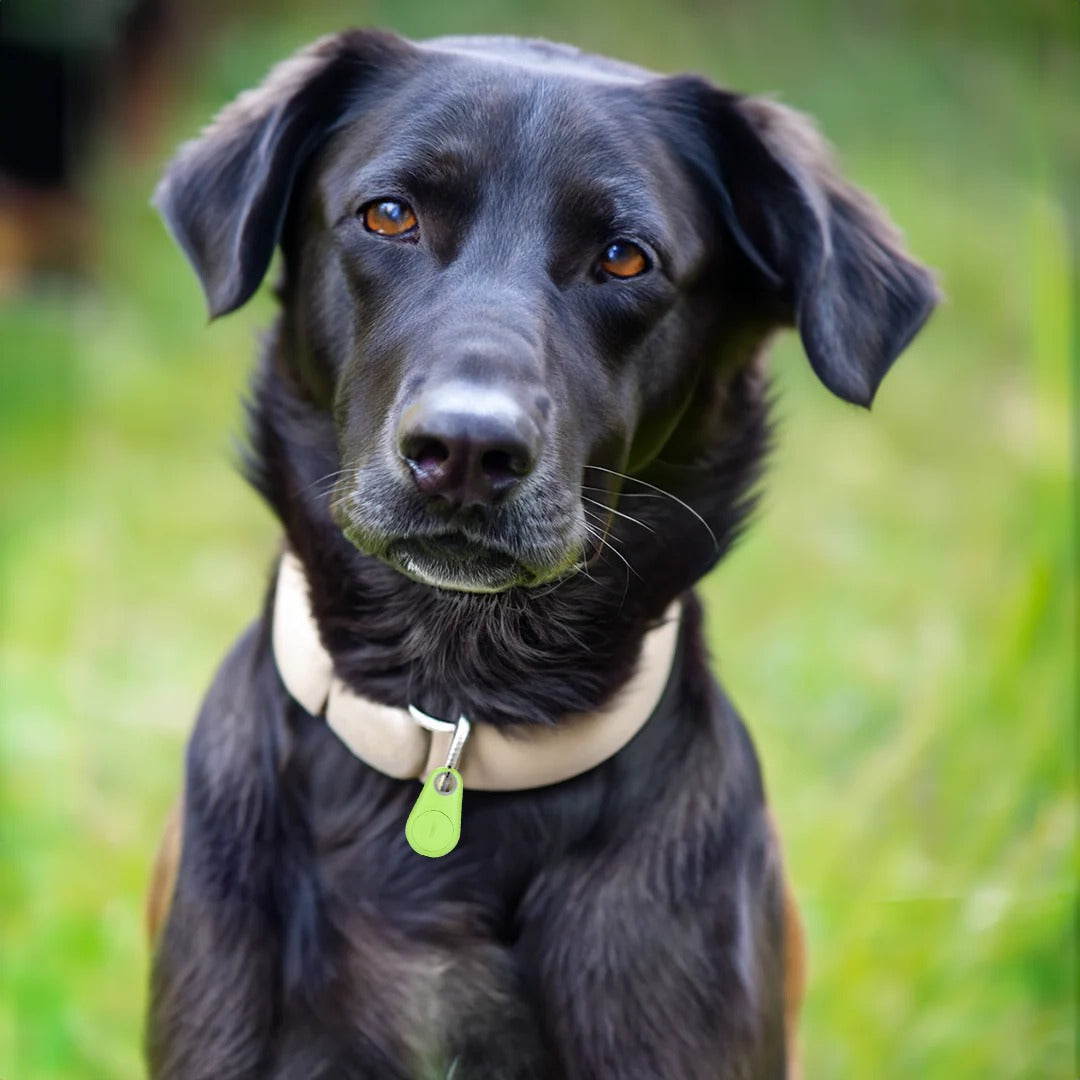 Tracker GPS Impermeabile per Animali Domestici - Dispositivo Intelligente per Monitoraggio e Sicurezza-VISOTKI