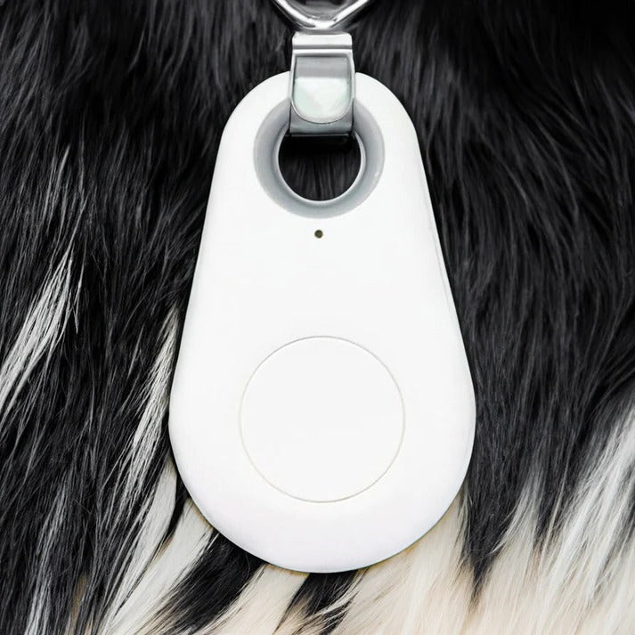 Tracker GPS Impermeabile per Animali Domestici - Dispositivo Intelligente per Monitoraggio e Sicurezza-VISOTKI