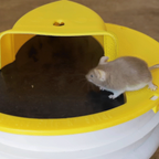 Trappola per Topi in Plastica con Coperchio, Design Efficace per Uso Domestico, Facile da Pulire e Riutilizzabile-VISOTKI